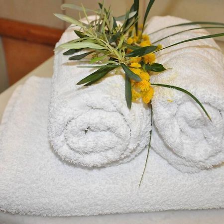 Villa Erietta Near Lefkas Center Apolpaina エクステリア 写真