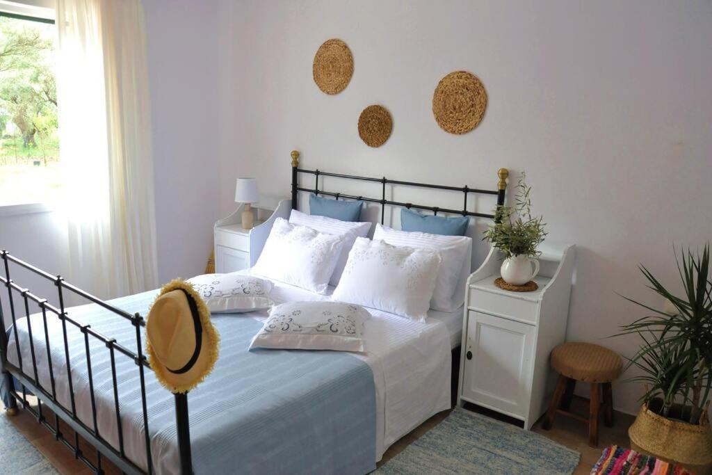 Villa Erietta Near Lefkas Center Apolpaina エクステリア 写真