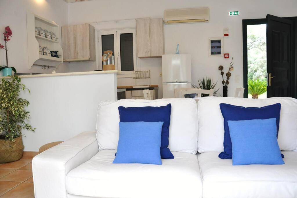 Villa Erietta Near Lefkas Center Apolpaina エクステリア 写真
