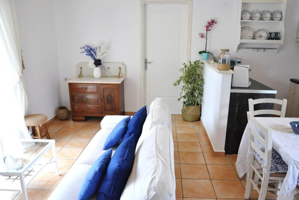Villa Erietta Near Lefkas Center Apolpaina エクステリア 写真