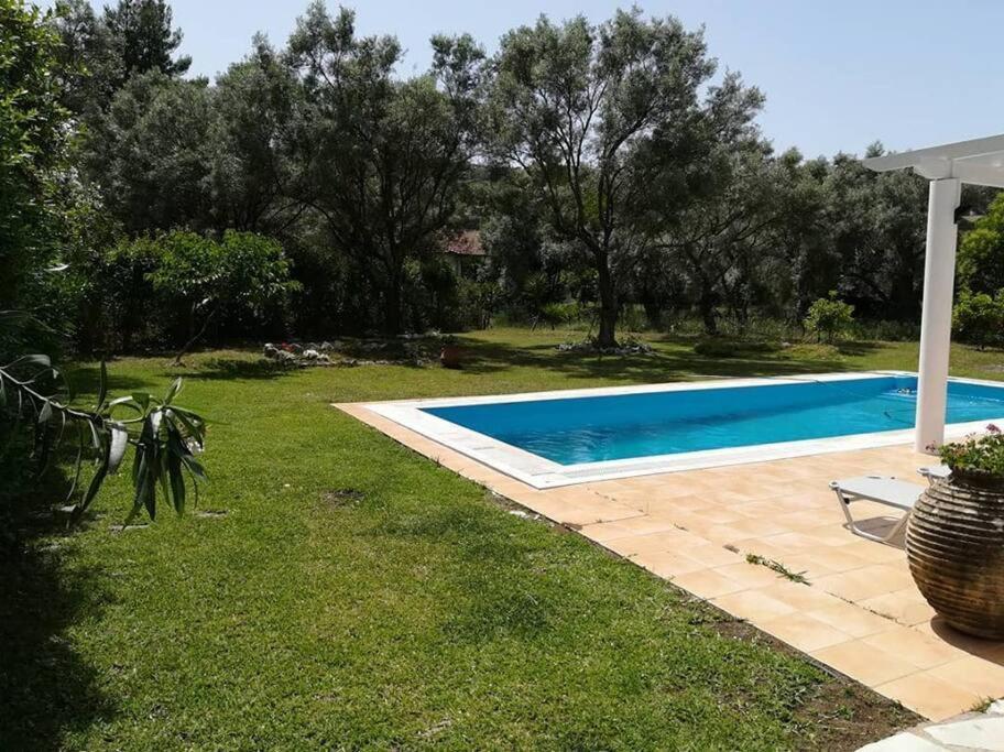 Villa Erietta Near Lefkas Center Apolpaina エクステリア 写真