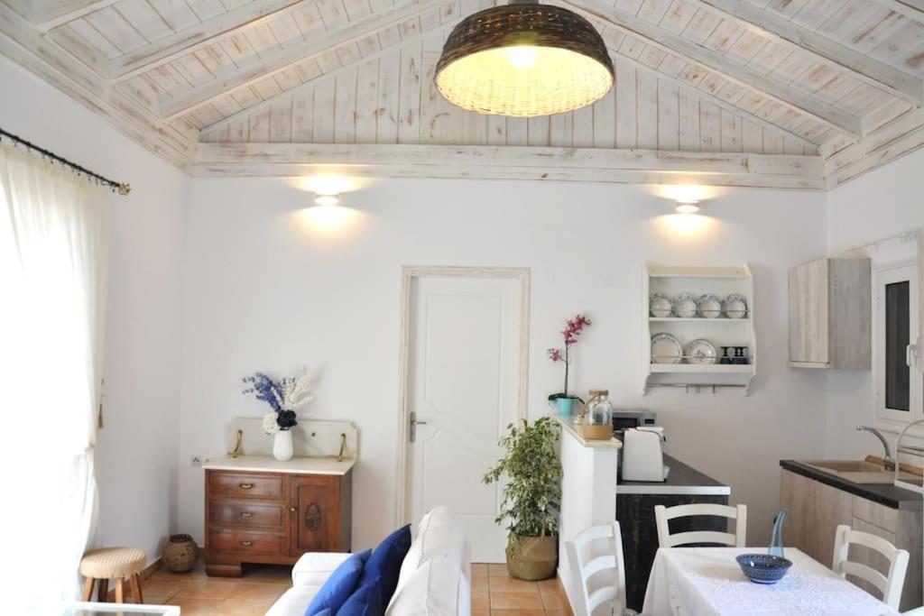 Villa Erietta Near Lefkas Center Apolpaina エクステリア 写真