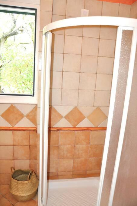 Villa Erietta Near Lefkas Center Apolpaina エクステリア 写真
