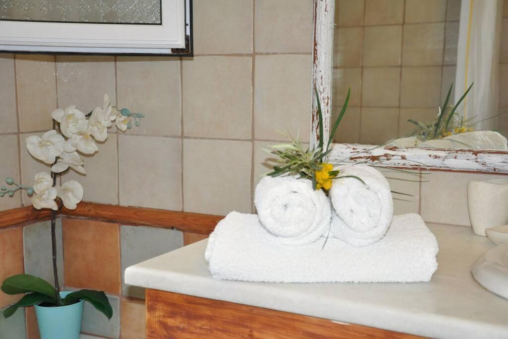 Villa Erietta Near Lefkas Center Apolpaina エクステリア 写真