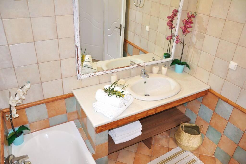 Villa Erietta Near Lefkas Center Apolpaina エクステリア 写真