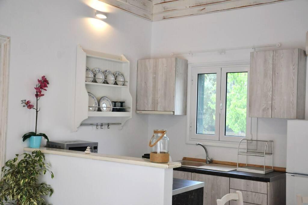 Villa Erietta Near Lefkas Center Apolpaina エクステリア 写真