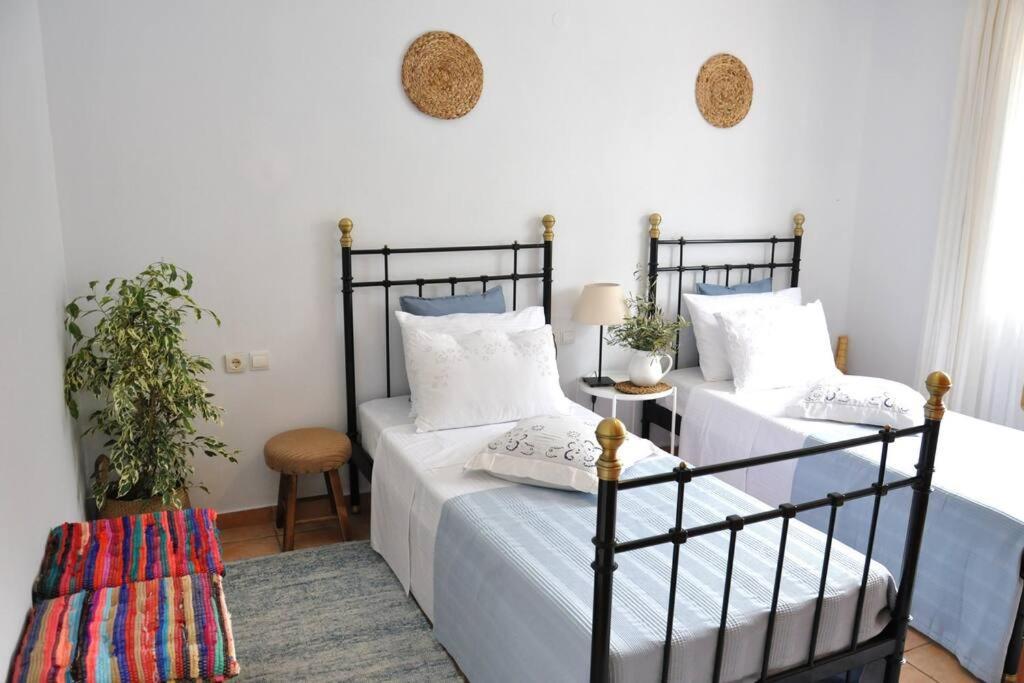 Villa Erietta Near Lefkas Center Apolpaina エクステリア 写真