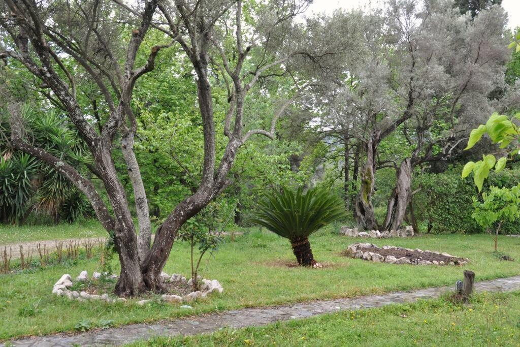 Villa Erietta Near Lefkas Center Apolpaina エクステリア 写真